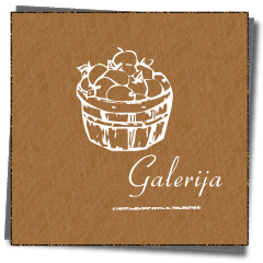 Galerija